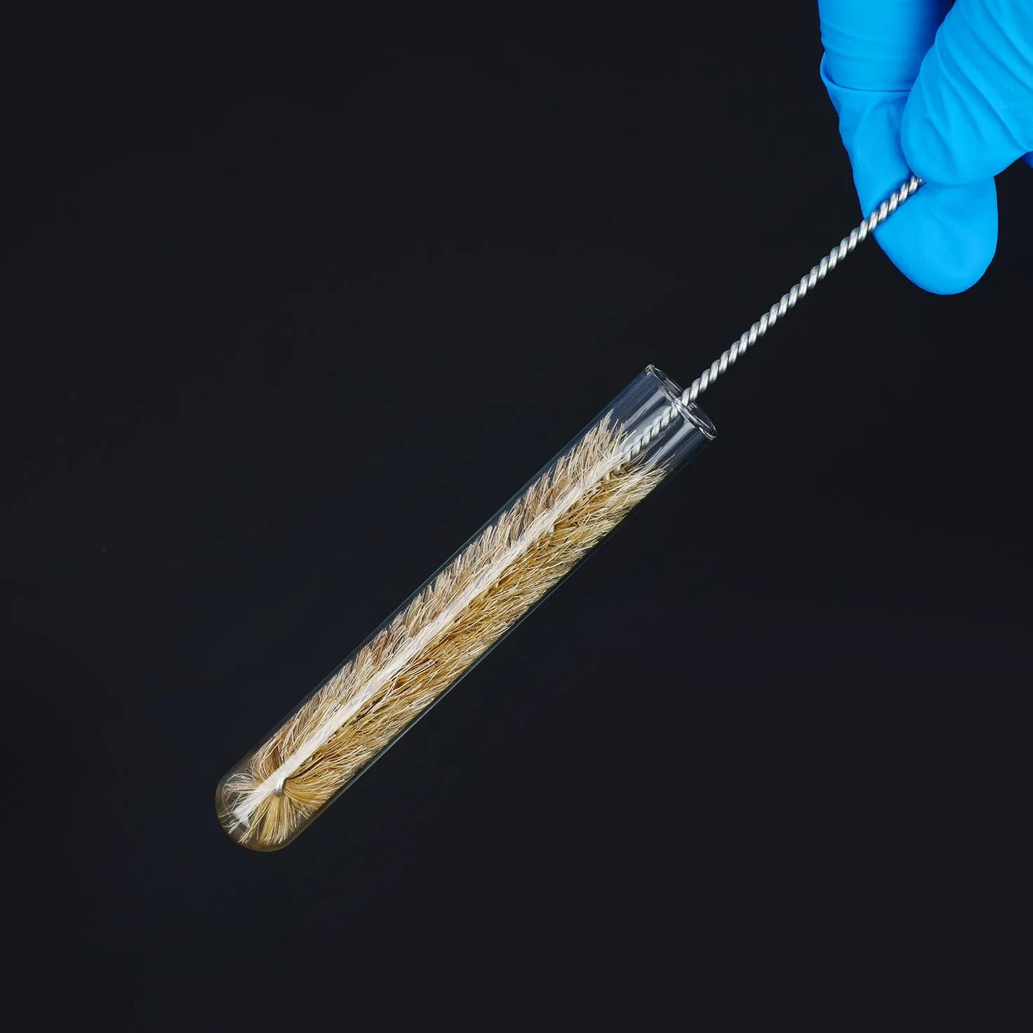 Labasics Szczotki do probówek, 10 sztuk, szczotki do czyszczenia butelek z probówką z promieniowym czubkiem, odpowiednie do użytku laboratoryjnego, rozmiar M